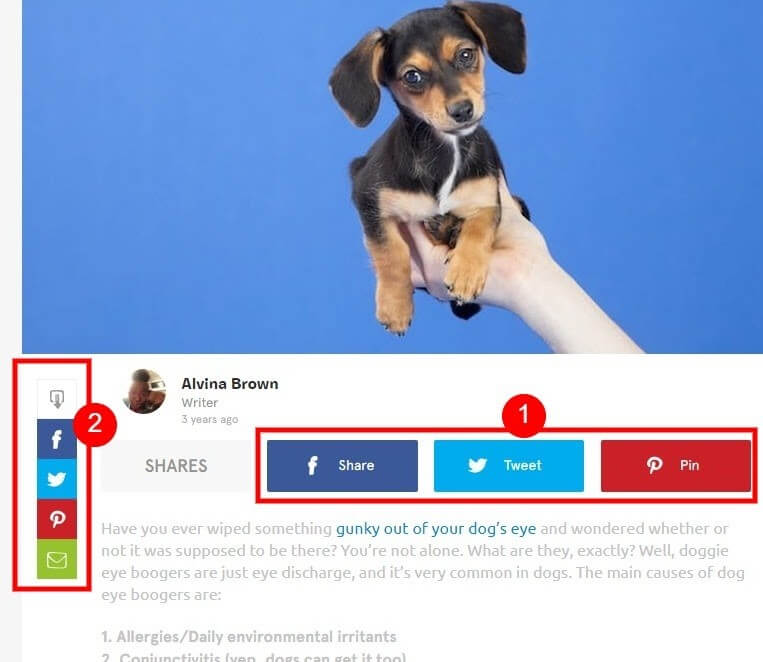 BarkPost