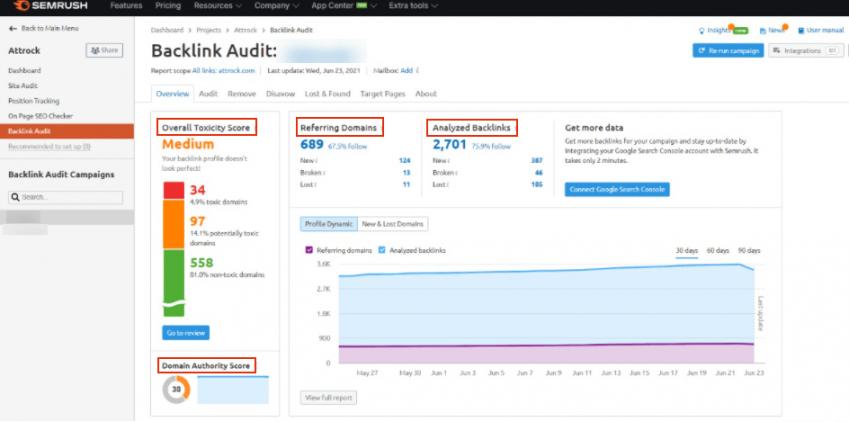 Backlink Audit tool