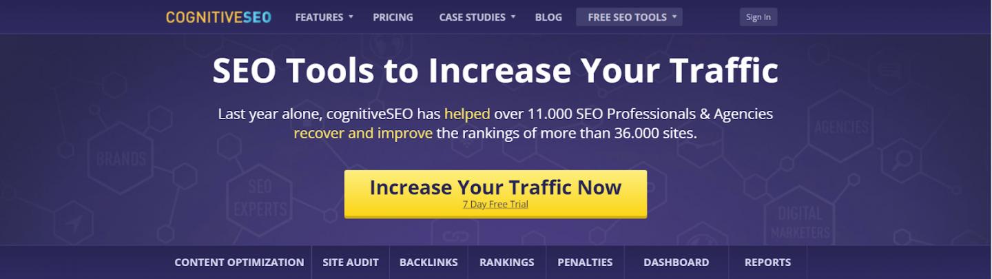 cognitiveSEO