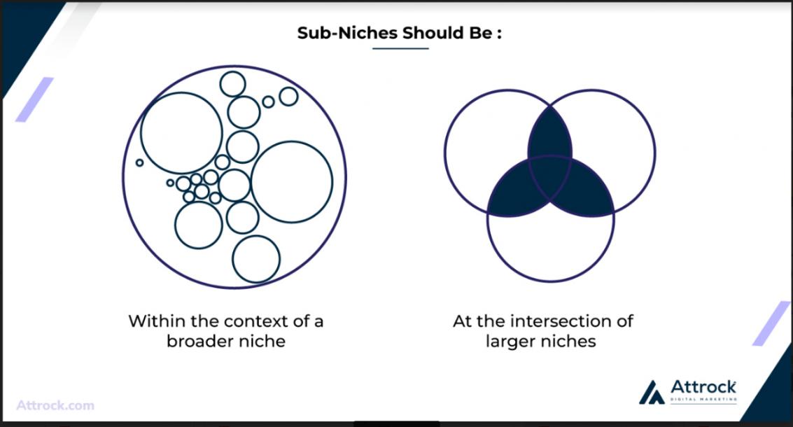 Narrow Down to Sub-Niches