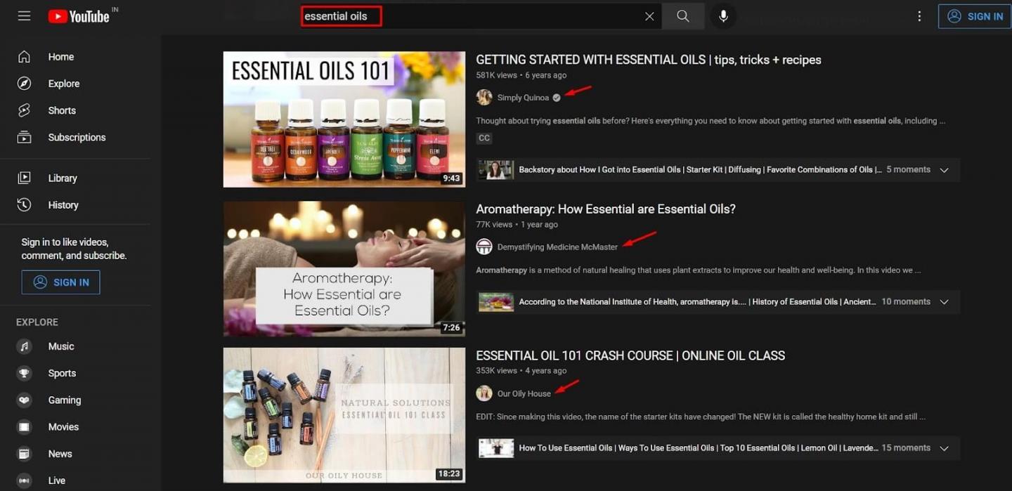 Reach Out to Niche Youtube Vlogger