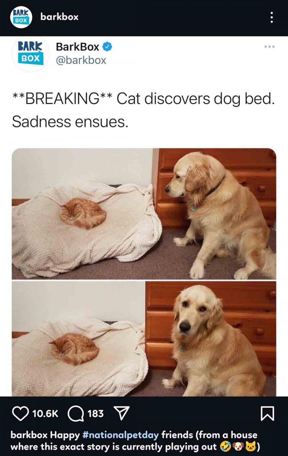 barkbox