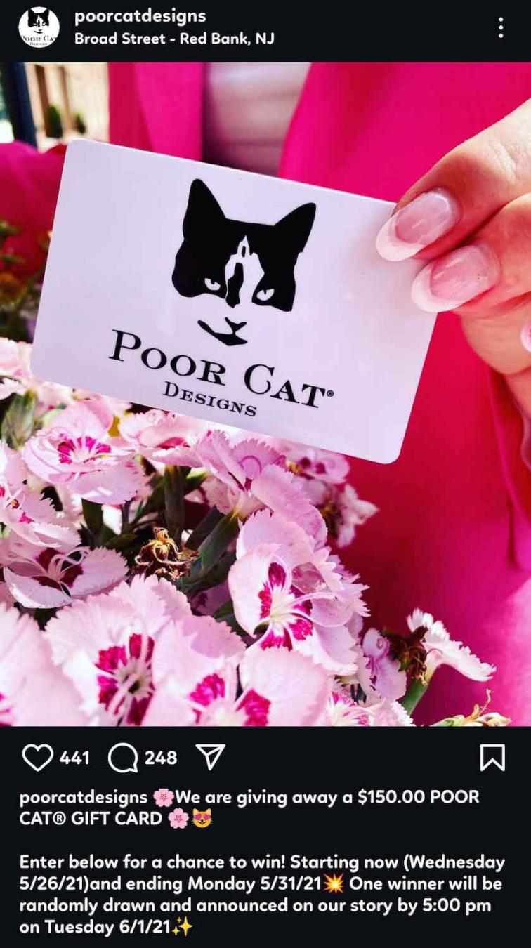 poorcatdesigns