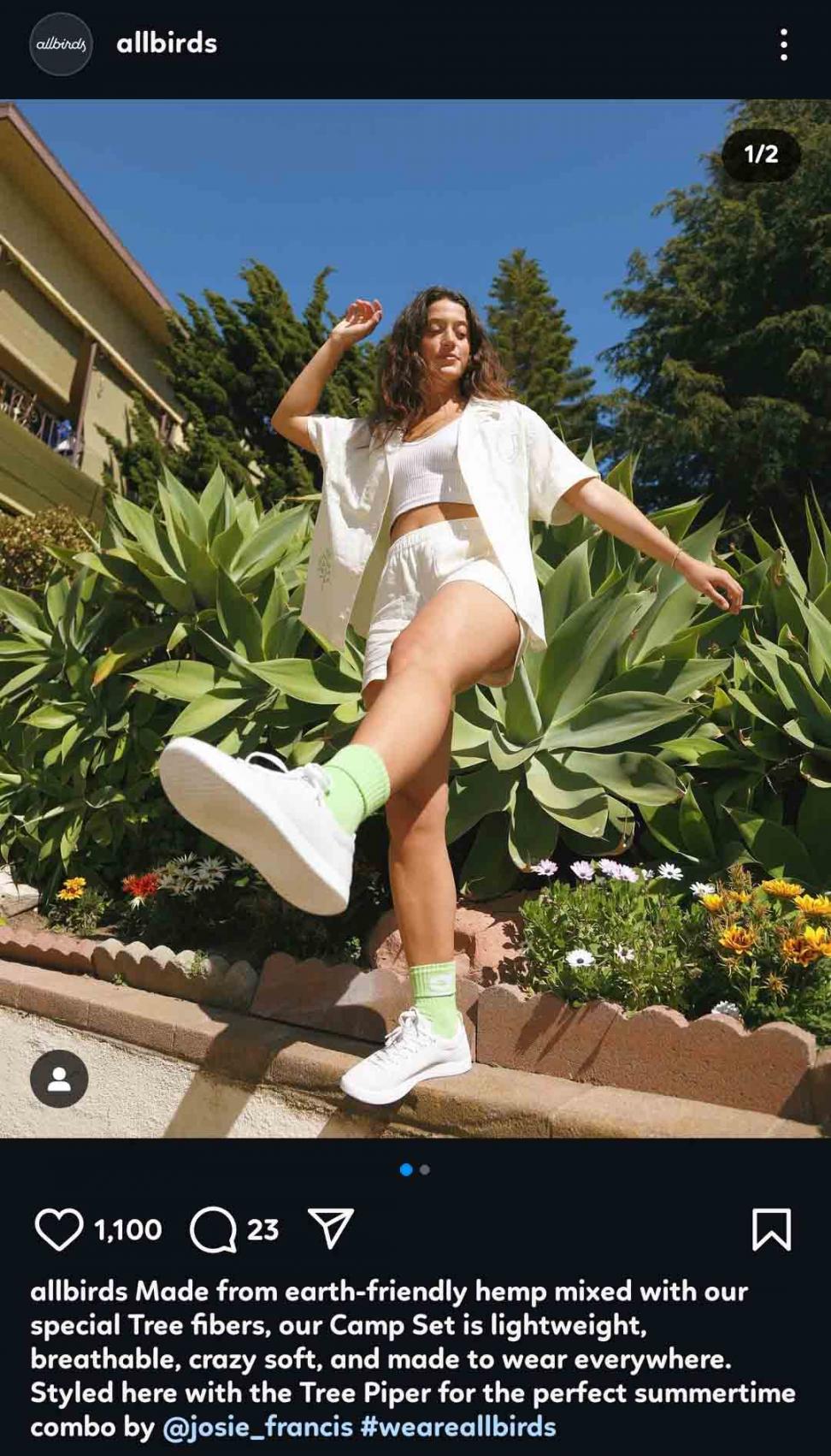 allbirds