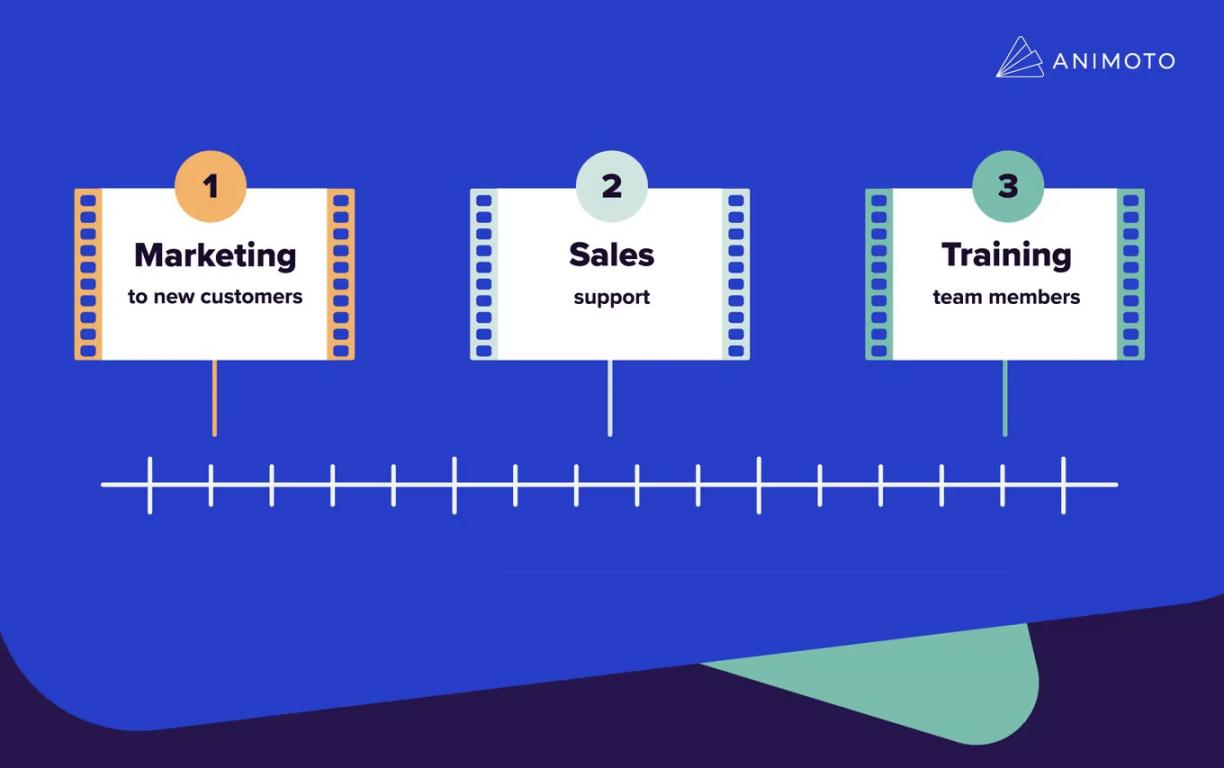 animoto-data
