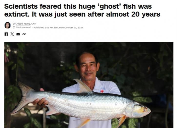 CNN