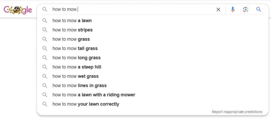 Autocomplete image
