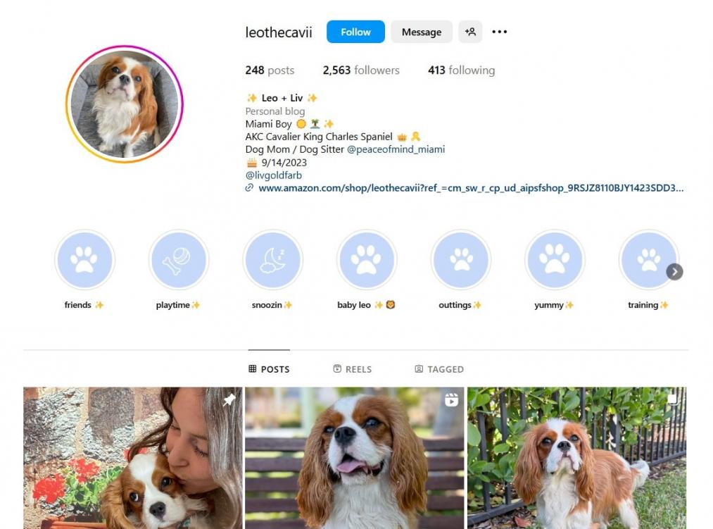 Nano influencer example-min
