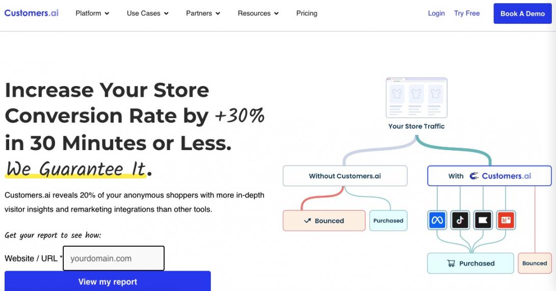 Customers.ai Homepage