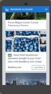 Google In feed