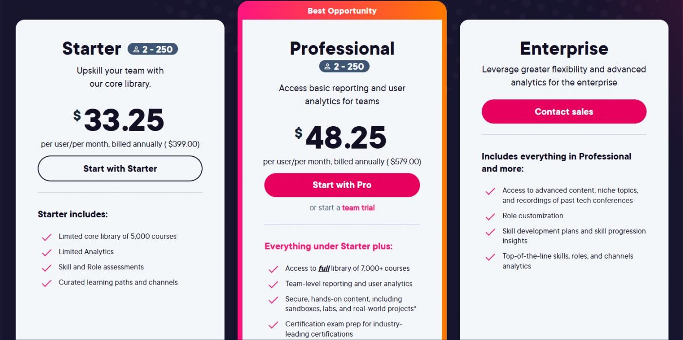 30 - Pluralsight Pricing - team