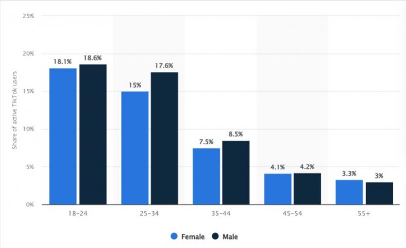 Global-TikTok-user-age-and-gender-distribution-2024-Statista
