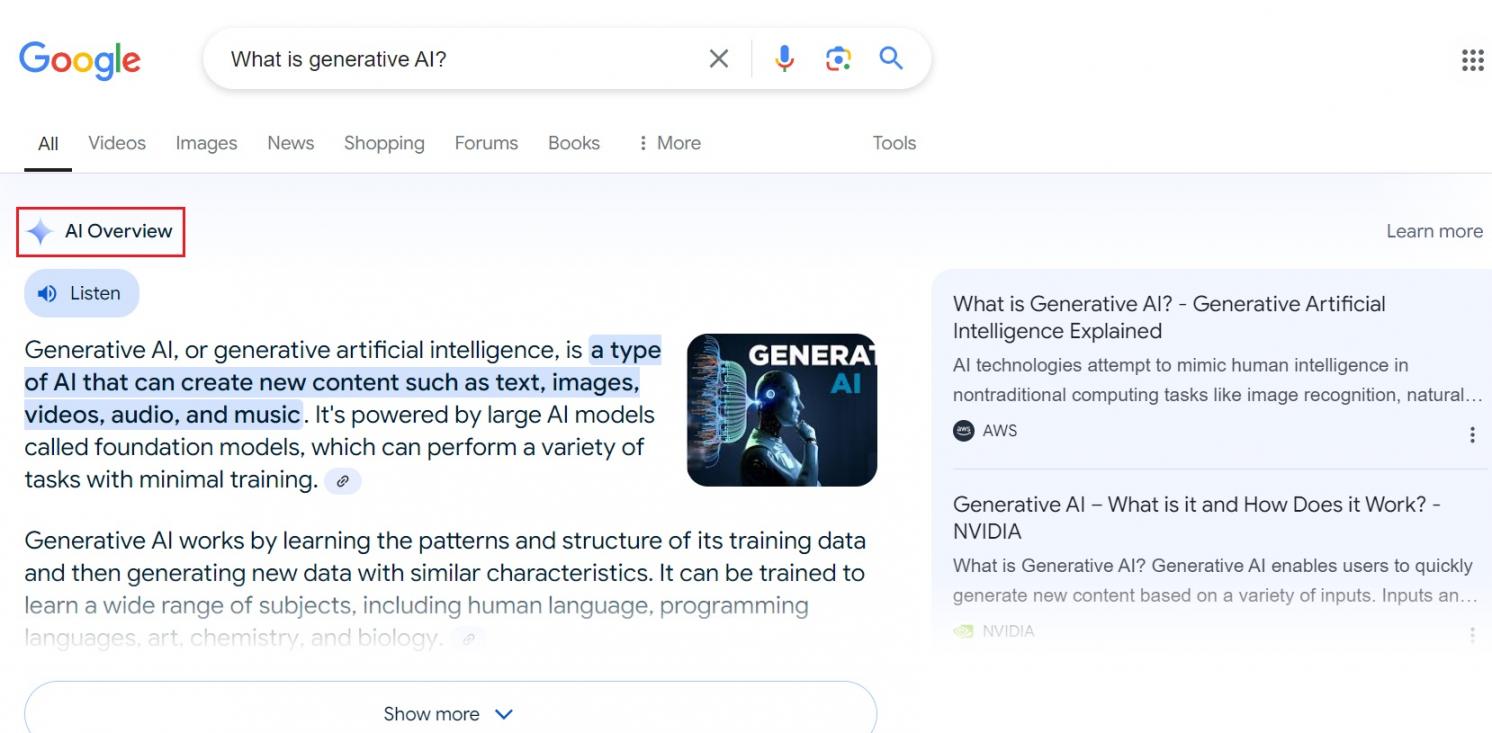 Google_s AI Overview example
