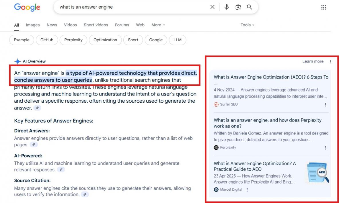Google AI overview