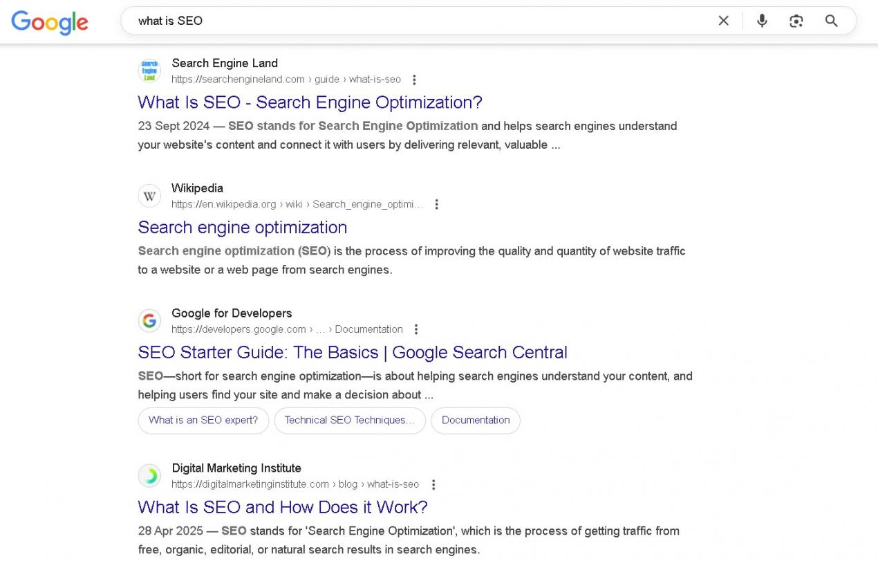 SEO SERP