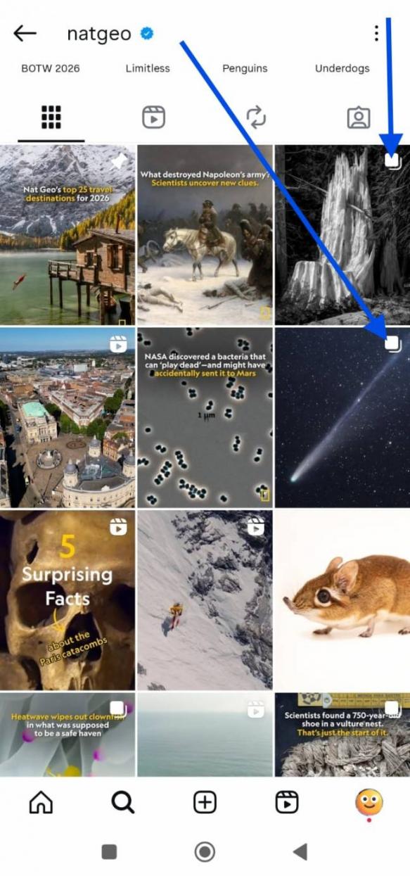 Insta Carousels