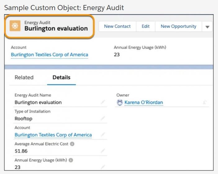 Salesforce custom object