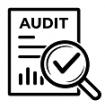 Link Audits