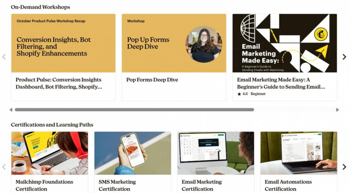 mailchimp academy