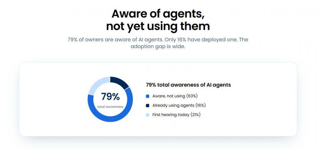 Businesses Not Using AI Agents
